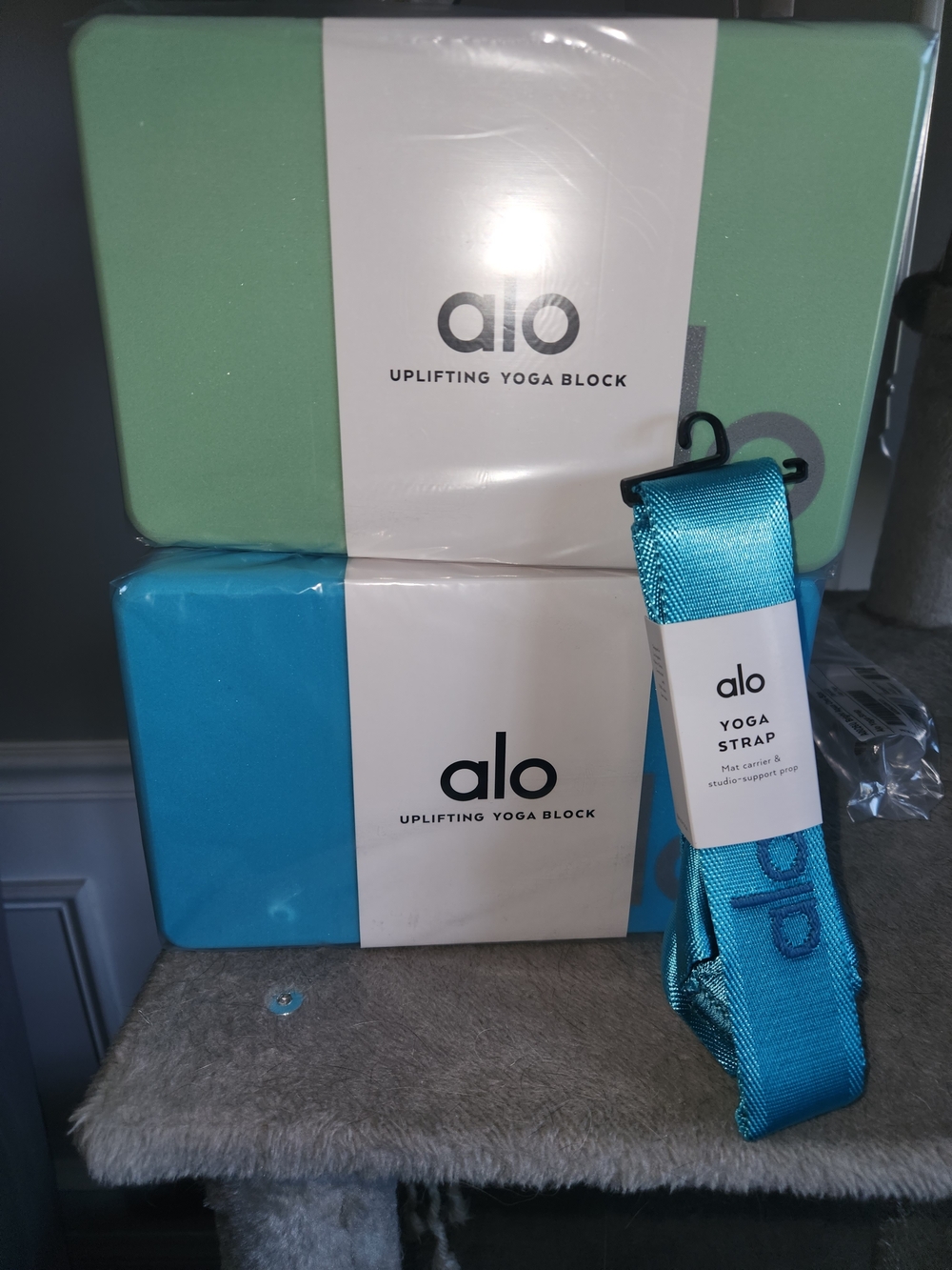 ALO Yoga Block and Strap Set in Mint Green and Teal Blue